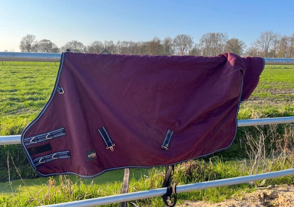 Regendeken epplejeck rindal, Dieren en Toebehoren, Ophalen of Verzenden, Zo goed als nieuw