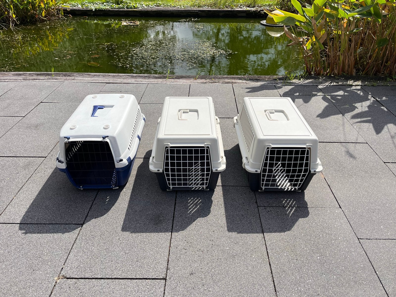 Transportboxen voor katten of andere dieren, Ophalen, Gebruikt