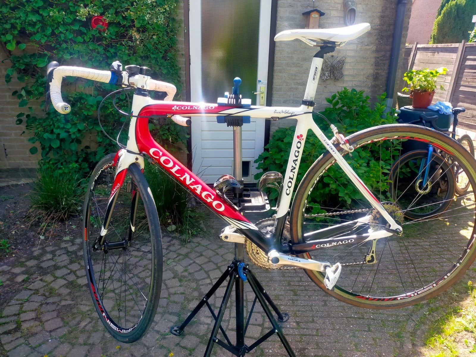 Colnago Racefiets, 28 inch, Gebruikt, Carbon, Meer dan 20 versnellingen