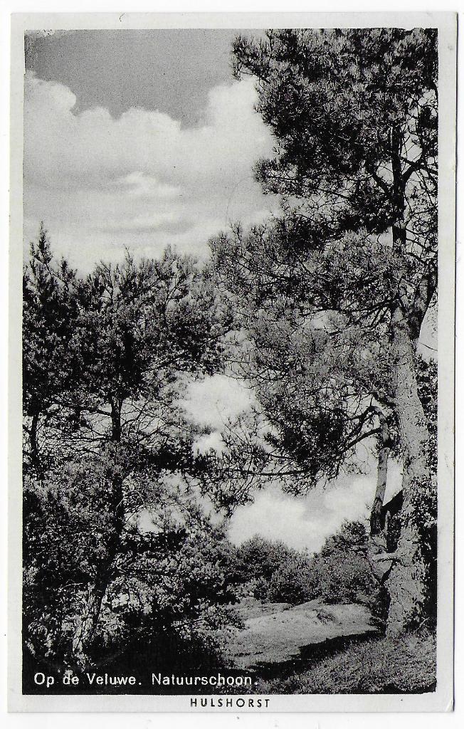 Hulshorst Natuurschoon   Ansichtkaart  uit 1941  ( B8156), Ophalen of Verzenden, 1940 tot 1960, Ongelopen