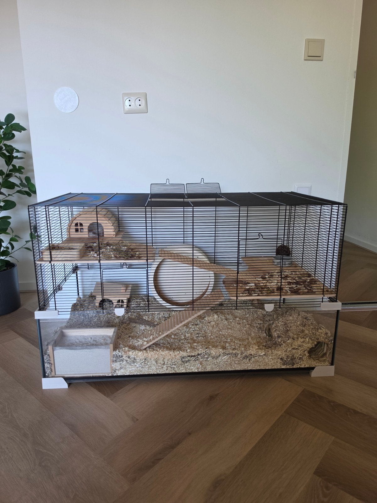 GRATIS TERRARIUM + HAMSTER EN TOEBEHOREN HALF JAAR OUD, Hok, 75 tot 110 cm, Ophalen, Minder dan 60 cm