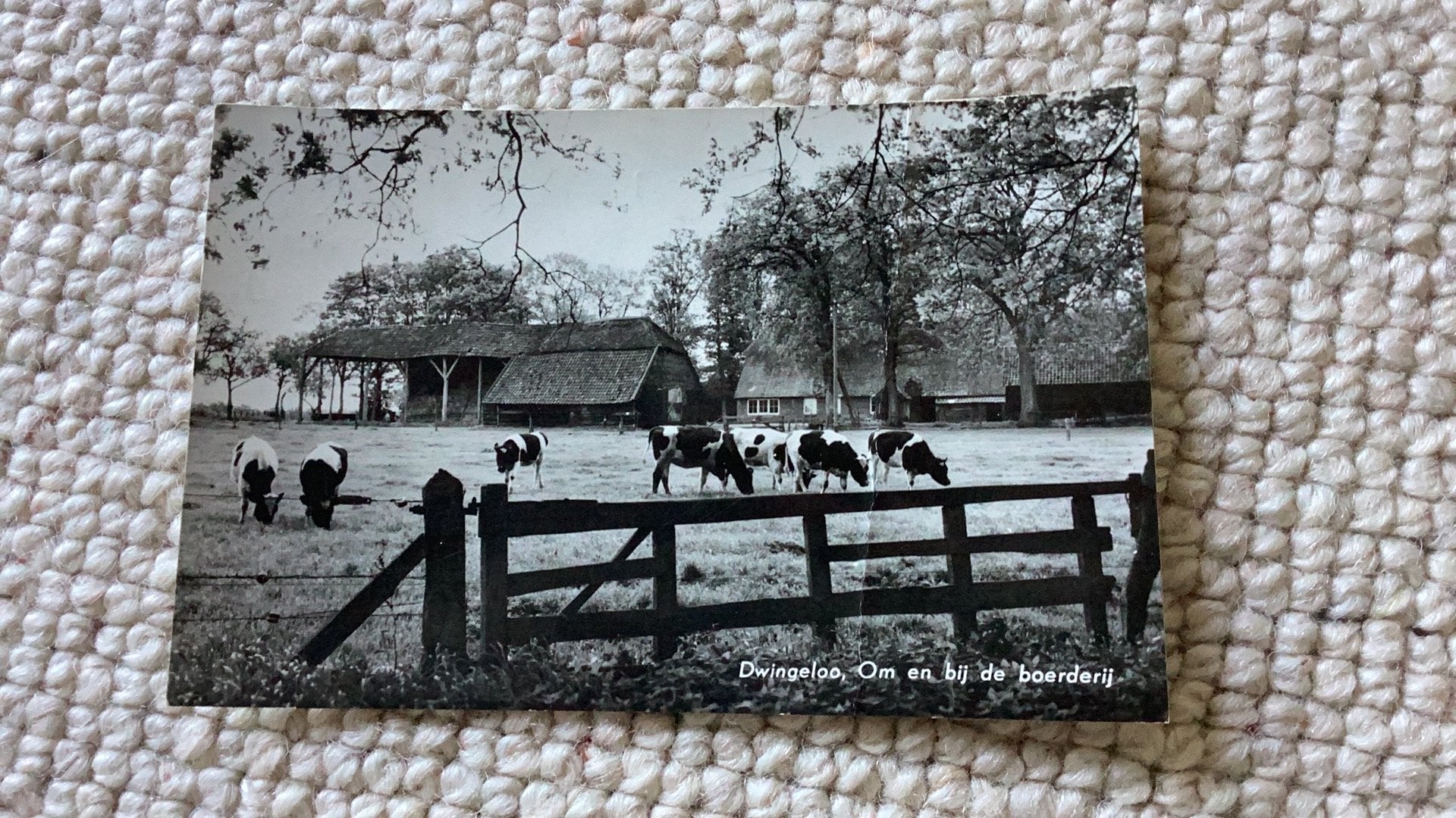 Ansichtkaart Dwingeloo Om en bij de boerderij 1965. 923, Ophalen of Verzenden, 1960 tot 1980, Gelopen, Drenthe