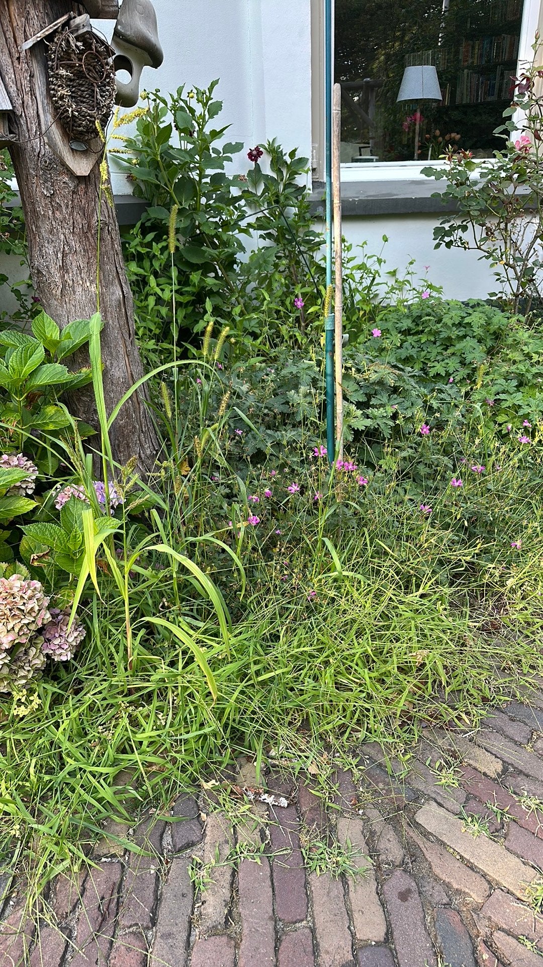 hulp in de tuin gevraagd, Ophalen