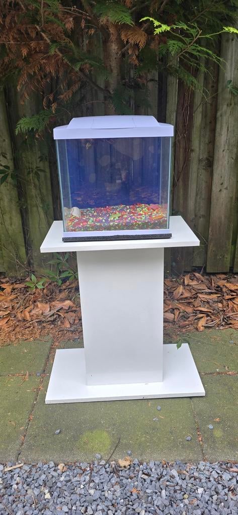 Te koop: een compleet aquarium van 20 liter met alle accesso, Dieren en Toebehoren, Ophalen, Zo goed als nieuw, Leeg aquarium
