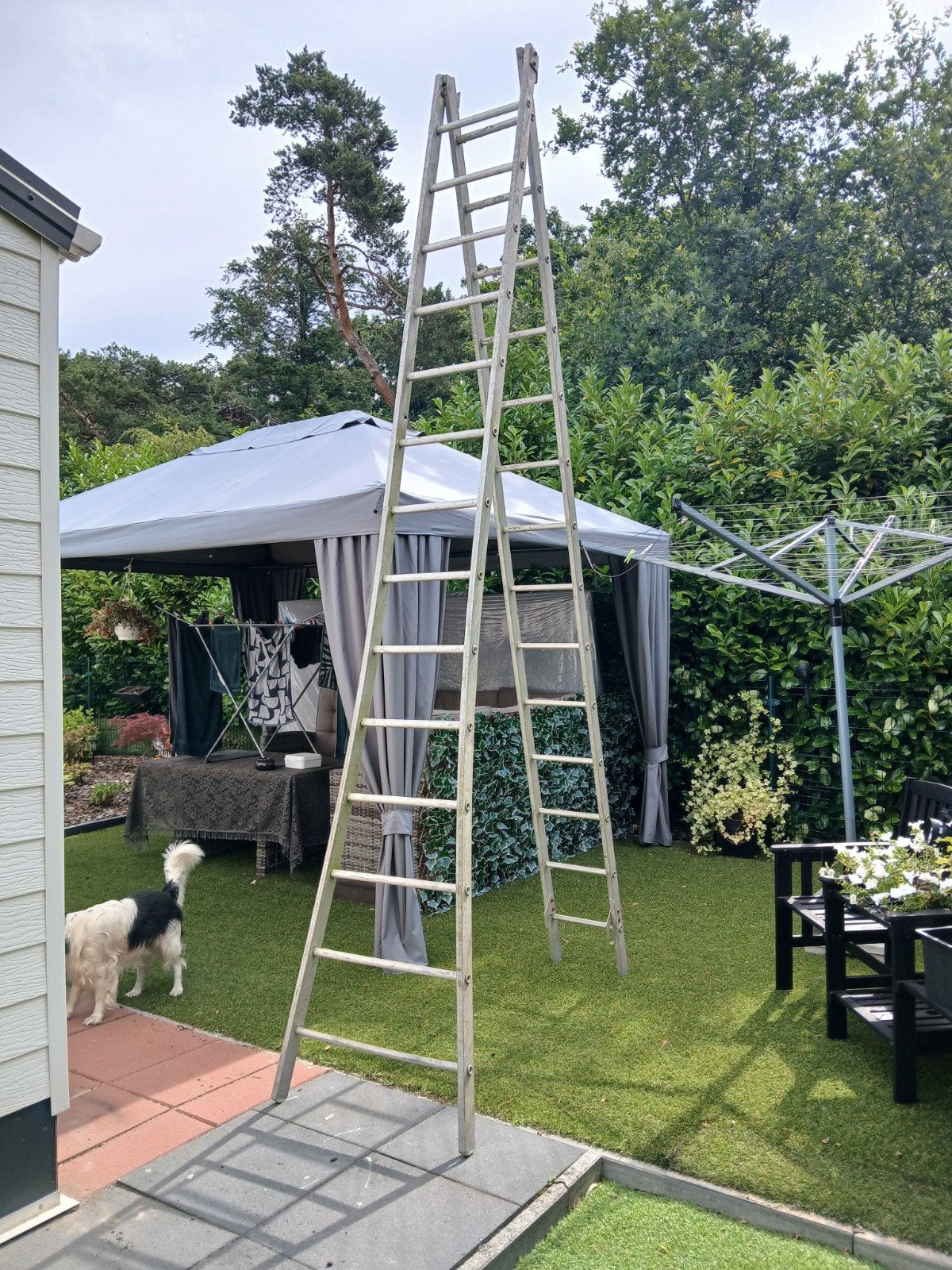 Nu ophalen in Sterksel voor 60 euro 7.50 mtr, Ophalen of Verzenden, Overige typen, Minder dan 2 meter