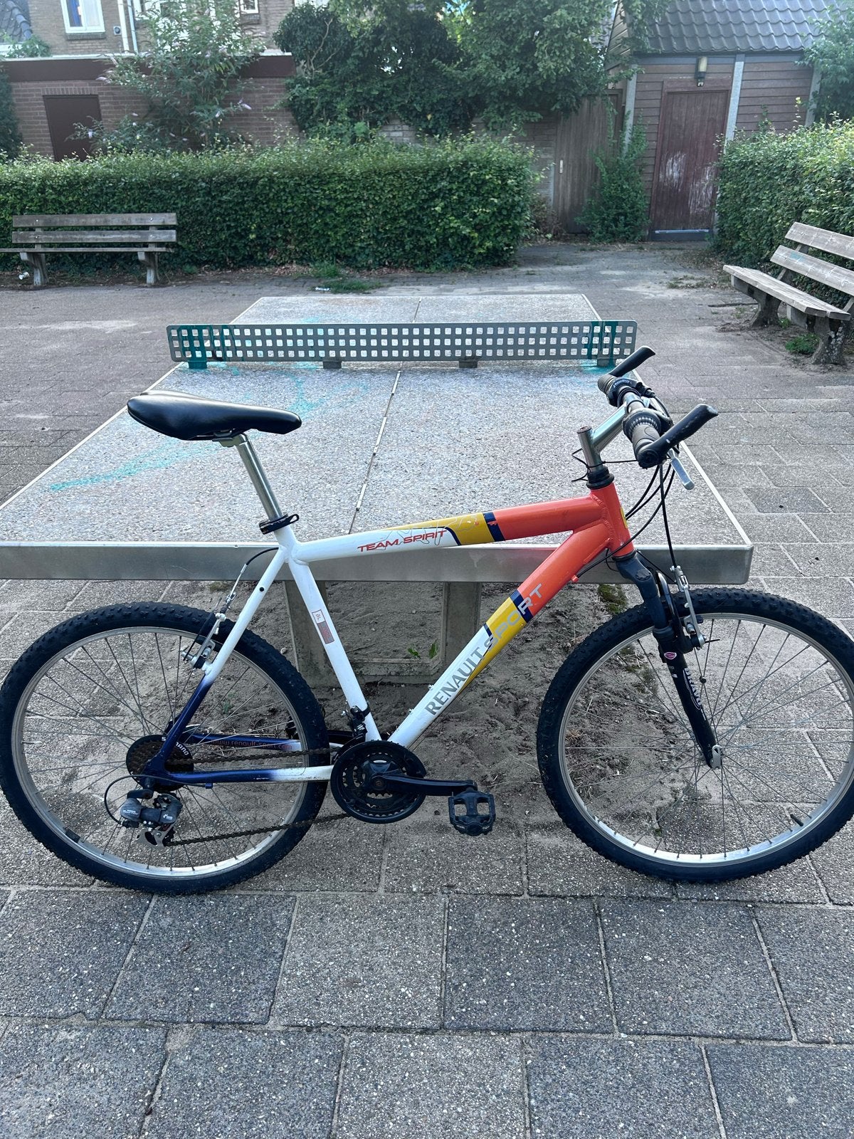 Klassieke Renault Sport Mountainbike - Vintage MTB, Gebruikt, Geen vering, Ophalen, Overige merken