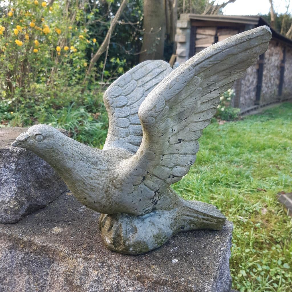 Tuinbeeld vliegende duif hoogte 26 cm van massief steen., Ophalen of Verzenden, Gebruikt, Steen, Dierenbeeld