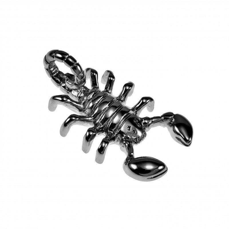 40mm x 21mm Schorpioen hanger Hanger Unisex Gepolijst RVS, Overige materialen, Birgitta-Gracht 33, 6465 EL Kerkrade, Nederland