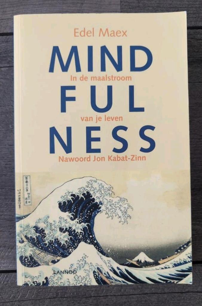 Mindfulness van Edel Maex - ISBN 9789020965162, Boeken, Ophalen of Verzenden, Zo goed als nieuw, Meditatie of Yoga, Instructieboek