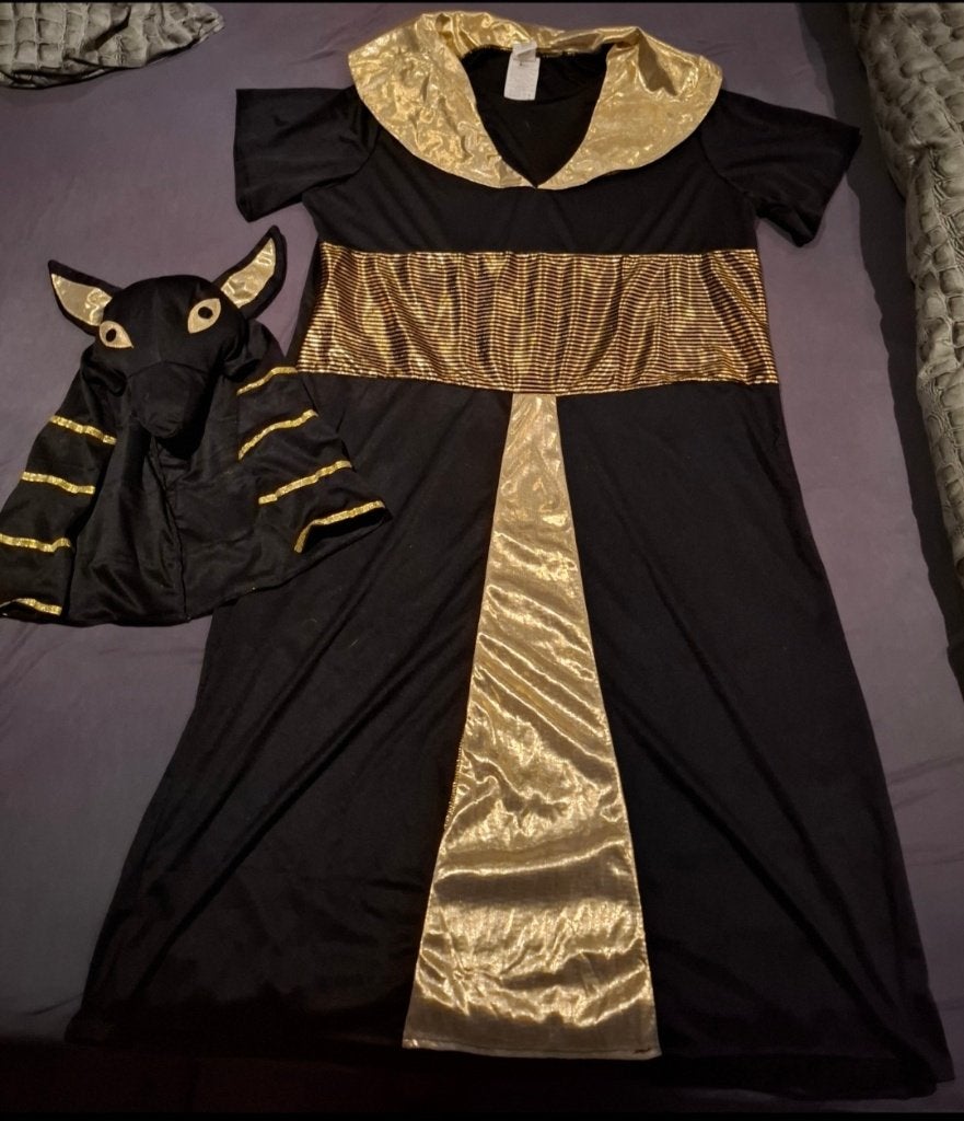 Carnavalspak, Egyptisch/faroa, maat XL, Carnaval, Maat 46/48 (XL) of groter, Ophalen of Verzenden, Zo goed als nieuw
