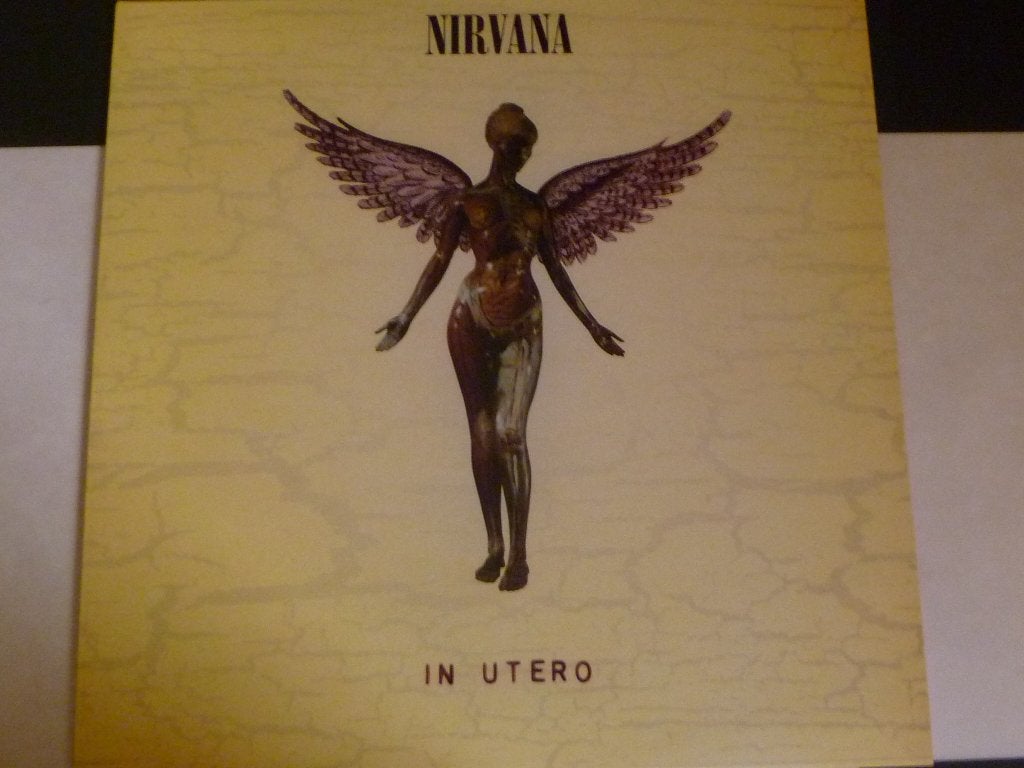 Nirvana LP, Ophalen of Verzenden, Nieuw in verpakking