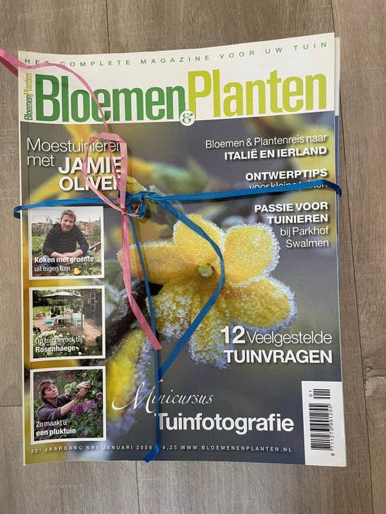 Complete Jaargang Bloemen & Planten 2008 - 12 Tijdschriften, Boeken, Tijdschriften en Kranten, Ophalen of Verzenden, Zo goed als nieuw