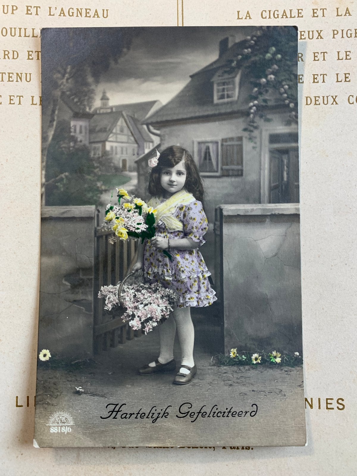 1919 Meisje in paarse jurk met mandje bloemen (WK), Ophalen of Verzenden, Voor 1920, Gelopen, Kinderen