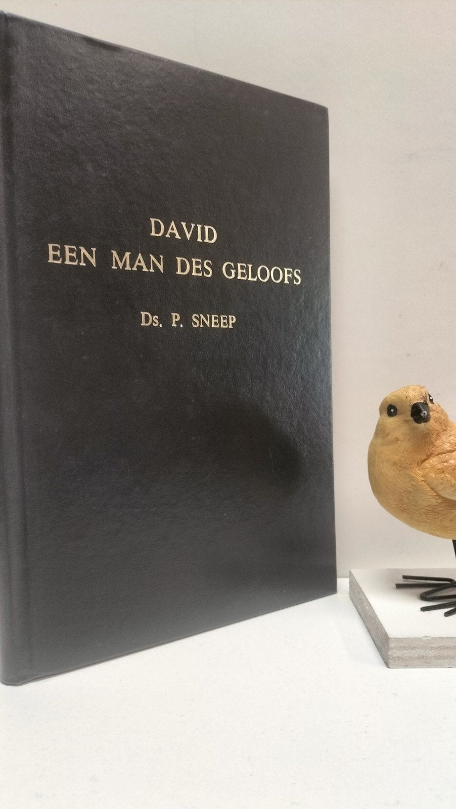 Sneep, Ds. P.; David een man des geloofs, Boeken, Ophalen of Verzenden, Gelezen, Christendom | Protestants