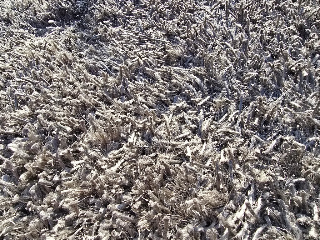 Vloerkleed binnen Zilvergrijs, Ophalen, Gebruikt, Grijs, 200 cm of meer