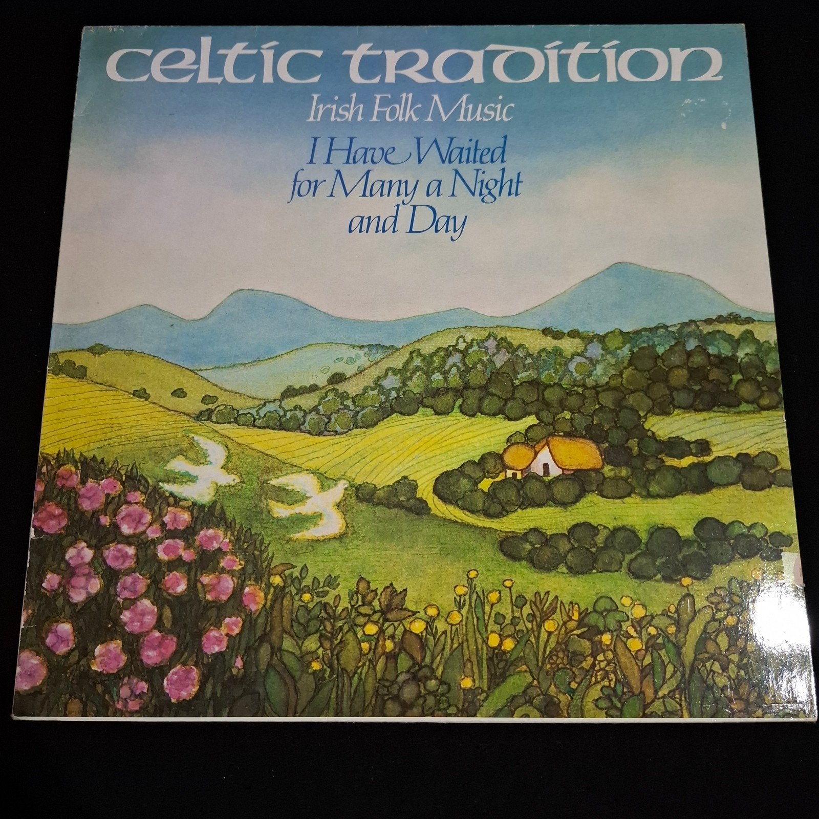 Celtic Tradition – Irish Folk Music (1984) LP, Ophalen of Verzenden, Zo goed als nieuw, 12 inch