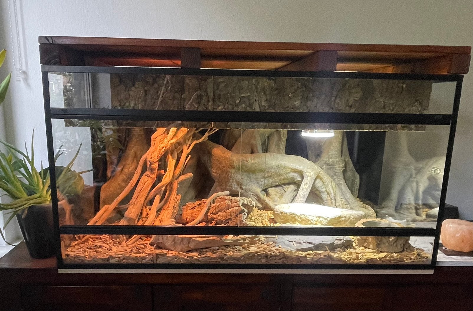 Terrarium (100x61) met toebehoren, Ophalen, Zo goed als nieuw, Terrarium of Paludarium