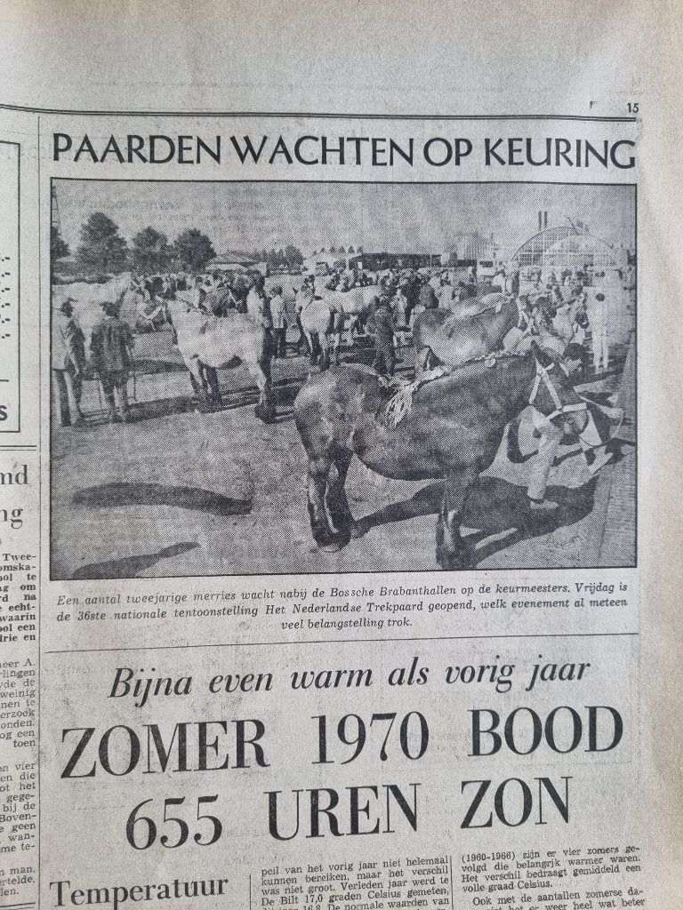 Keuring paarden bij de Brabanthallen Den Bosch (1970), Verzamelen, Ophalen of Verzenden, 1960 tot 1980, Knipsel(s)