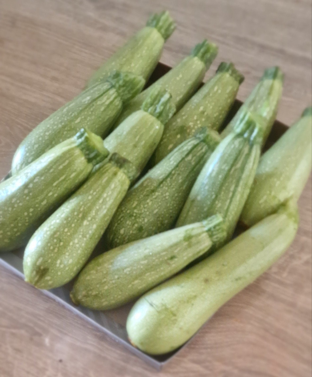Lekker verse bio courgette verkrijgbaar, Ophalen of Verzenden, Eenjarig, Overige soorten, Volle zon