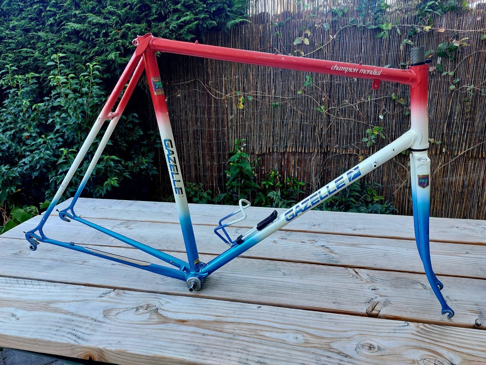 Gazelle Champion Mondial 753 frame - 59cm - Rood/Wit/Blauw, Frame, Gebruikt, Staal, Ophalen of Verzenden