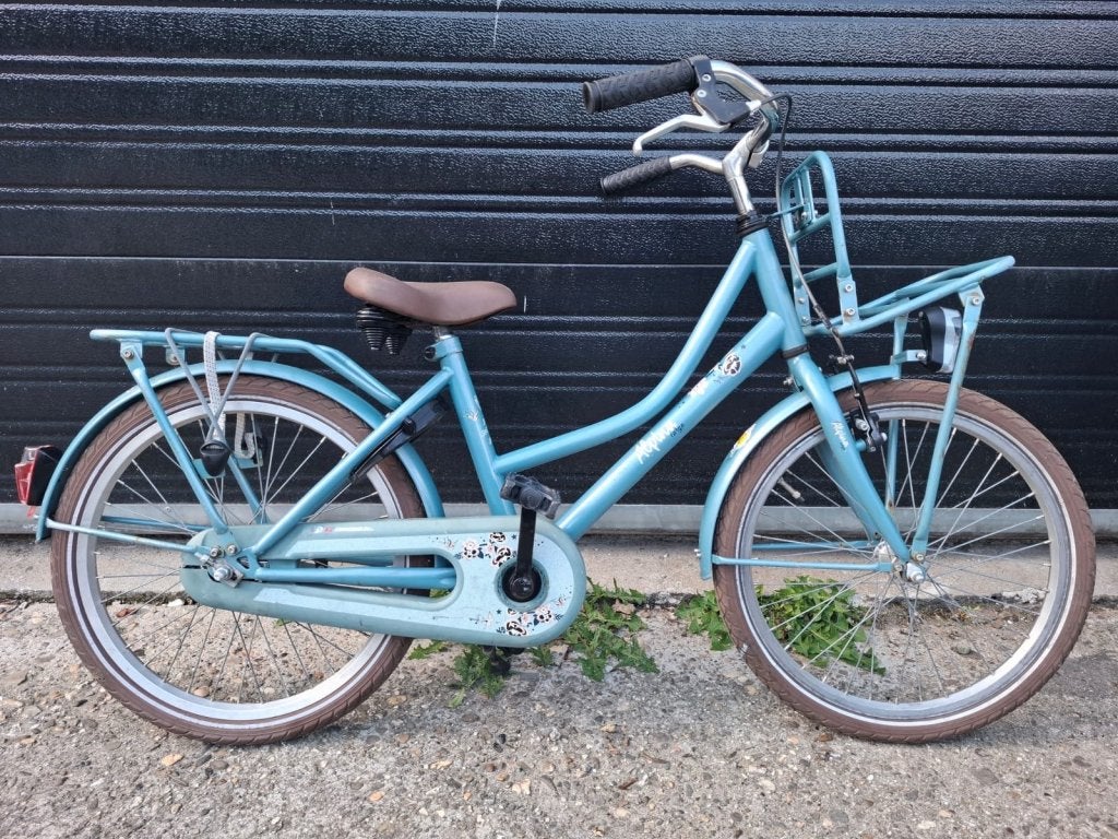 Alpina cargo 20 inch meisjesfiets, Terugtraprem, Alpina, Versnellingen, Niet ingevuld