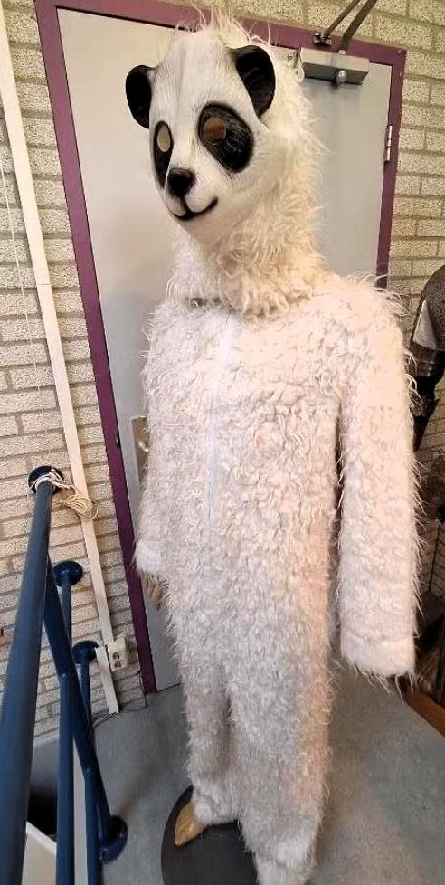 Mascotte kostuum Panda, Ophalen of Verzenden, Gebruikt, Bovenkleding