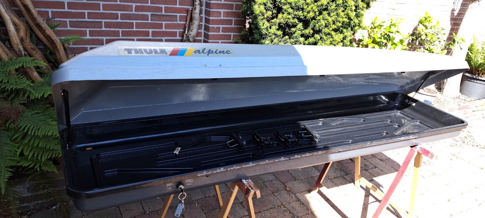 Thule Alpine Dakkoffer - Ruime en Betrouwbare Bagagebox, Auto diversen, Dakkoffers, Ophalen of Verzenden, Gebruikt