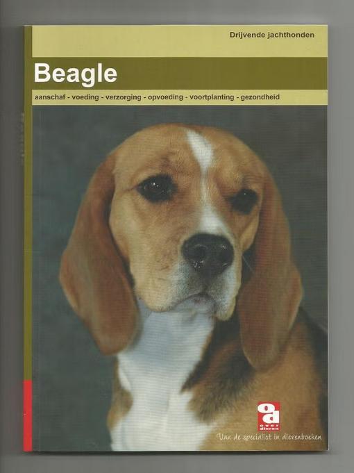 Beagle, Ophalen of Verzenden, Nieuw, Honden