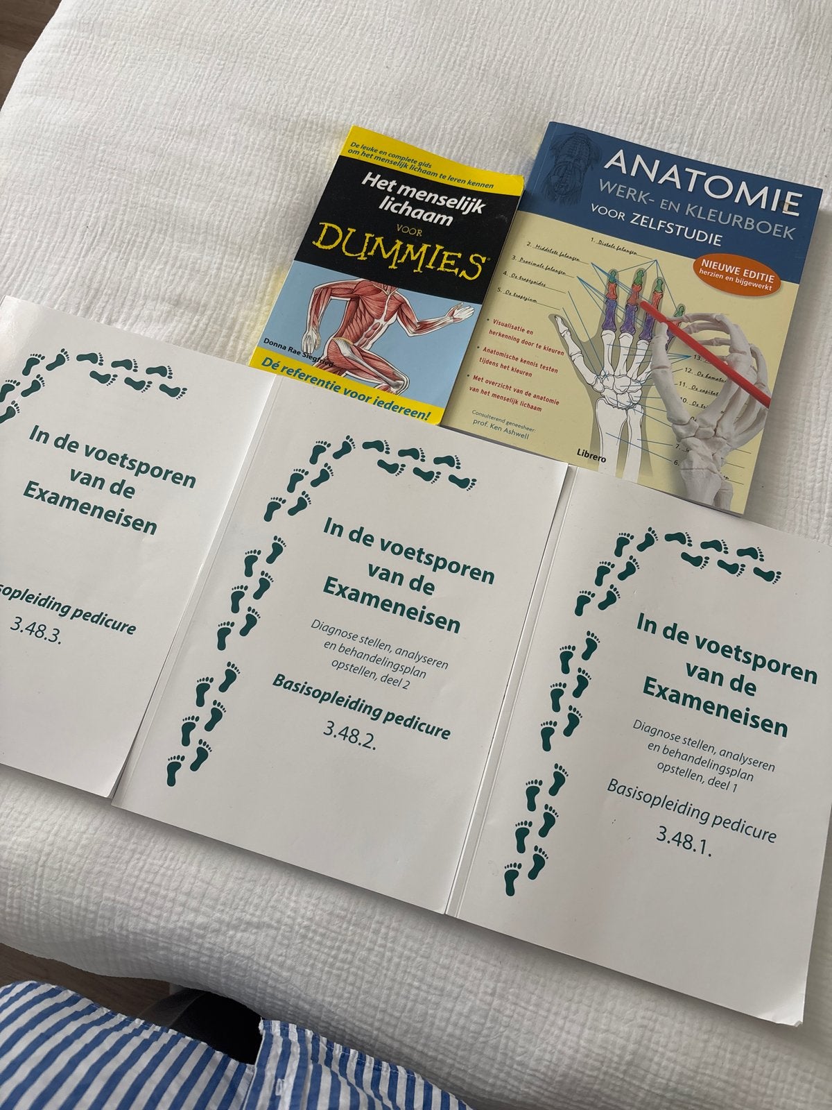 5 boeken: Anatomie, Dummies en Pedicure Examenbundels, Ophalen of Verzenden, Beta, Gelezen, MBO