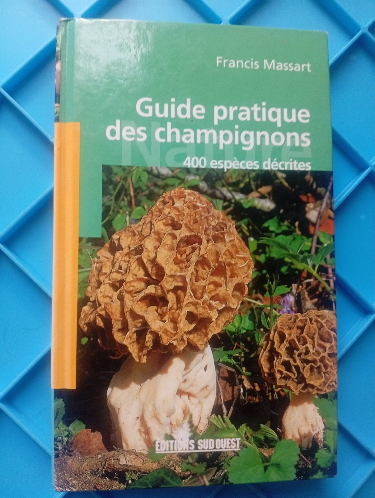 Praktische gids voor paddenstoelen - Francis Massart, Ophalen of Verzenden, Zo goed als nieuw, Bloemen, Planten en Bomen, Francis Massart