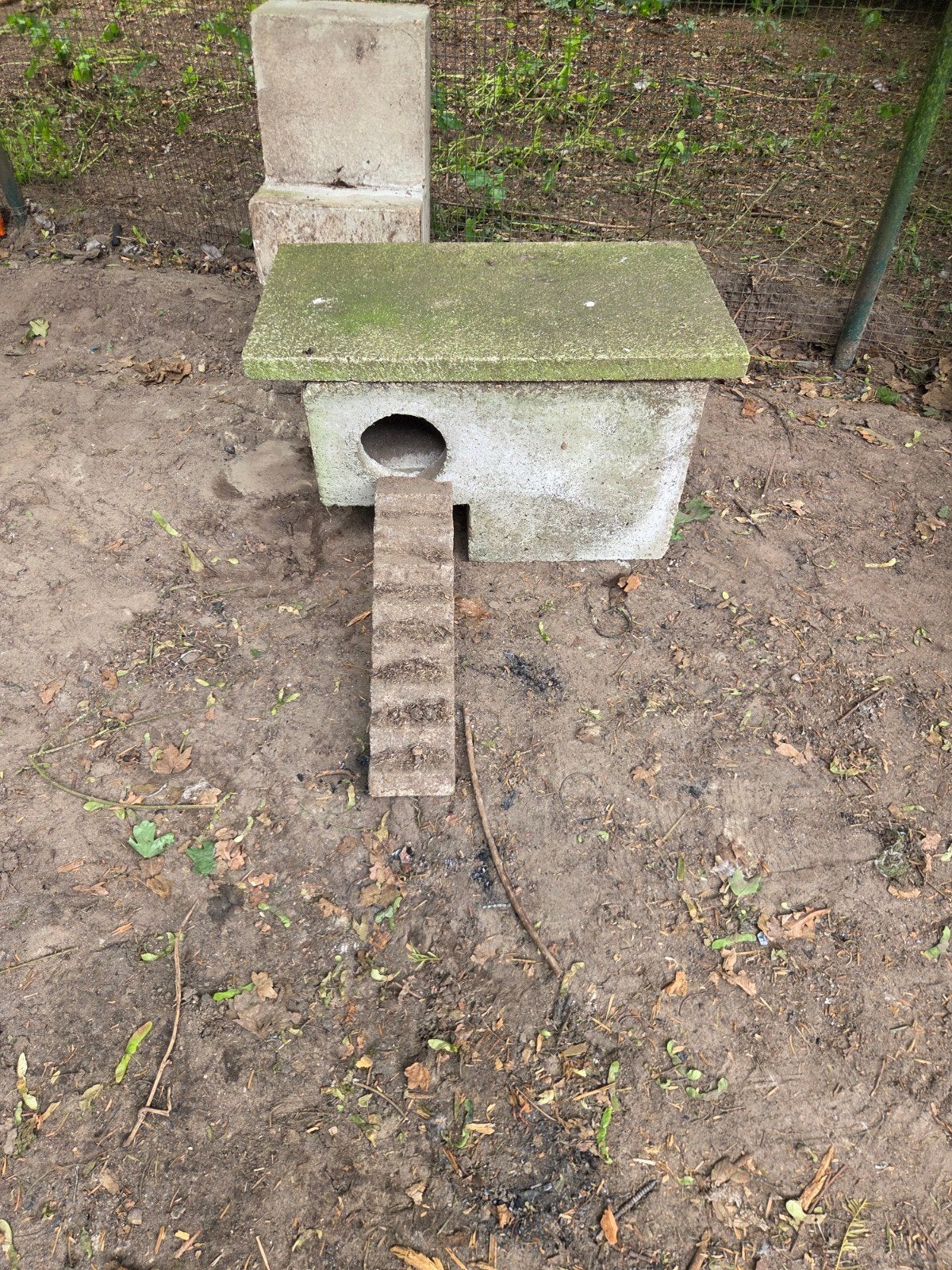 Broedkasten eend beton, Ophalen of Verzenden, Overige typen