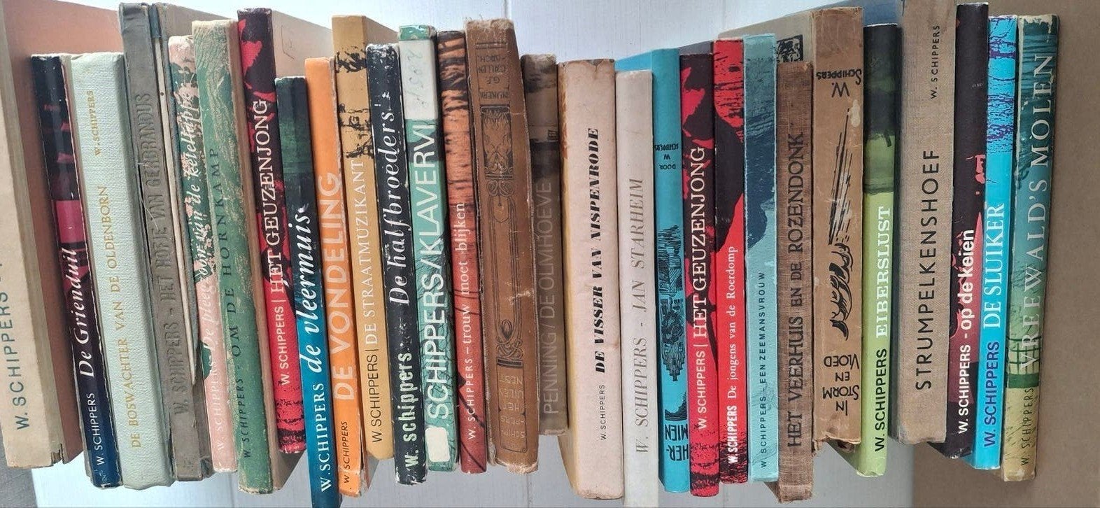 Collectie W. Schippers boeken - Diverse titels, Ophalen of Verzenden, Gelezen, W. Schippers