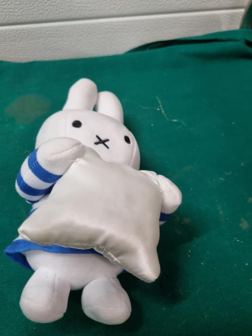 Knuffel nijntje dick bruna, Ophalen of Verzenden, 'T Olde Gre-j, Info@toldegrej.nl, Endepoelstraat 20f Didam