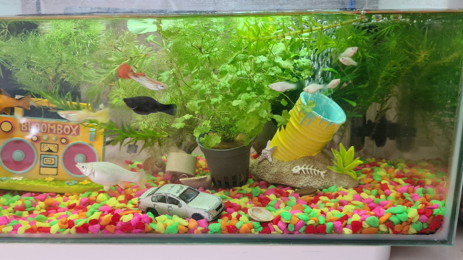 Compleet SuperFish Home 25 aquarium met vissen, Ophalen, Inclusief toebehoren, Zo goed als nieuw, Filter