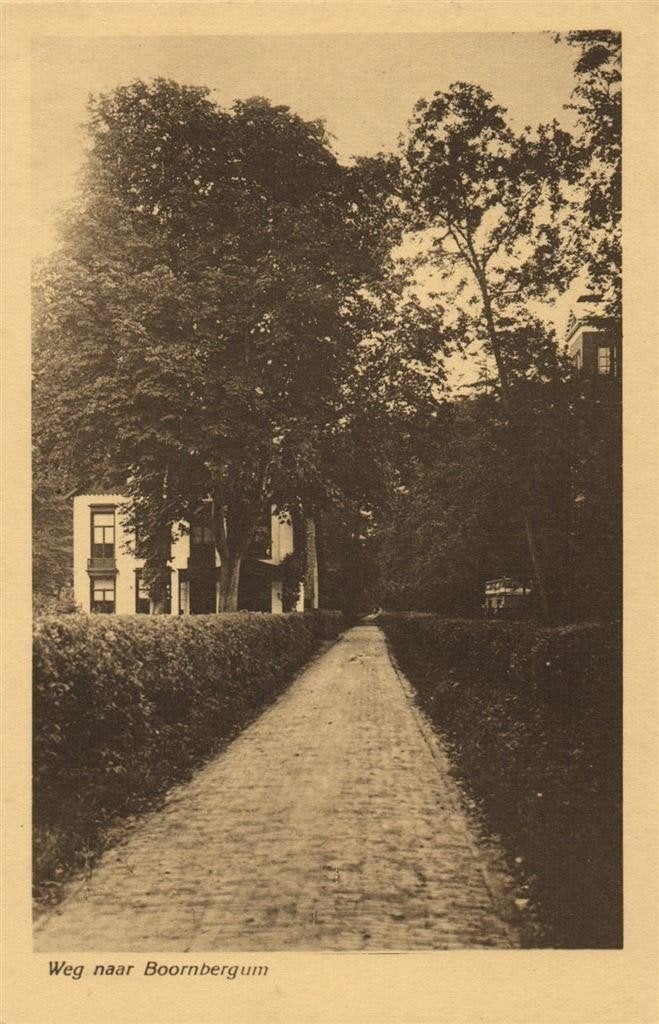 Weg naar Boornbergum - ongelopen, Verzenden, 1920 tot 1940, Ongelopen, Noord-Brabant