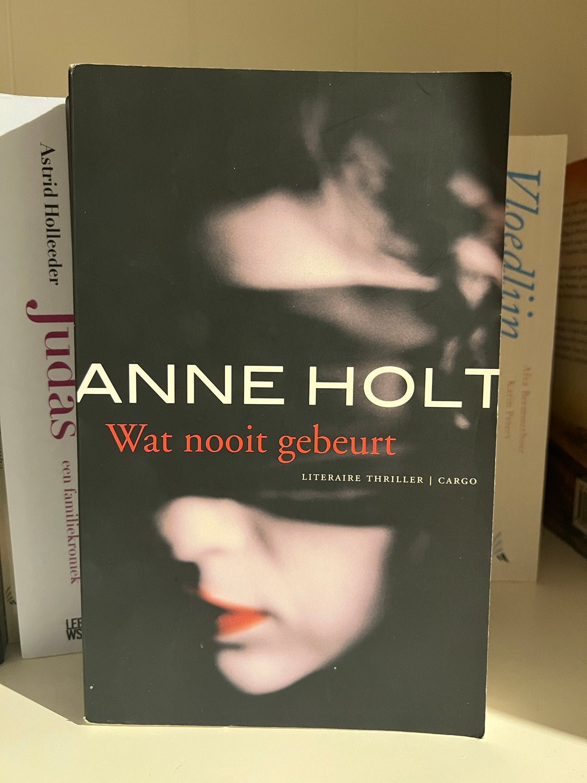 Anne Holt - Wat nooit gebeurt - Literaire thriller, Verzenden, Gelezen, Scandinavië