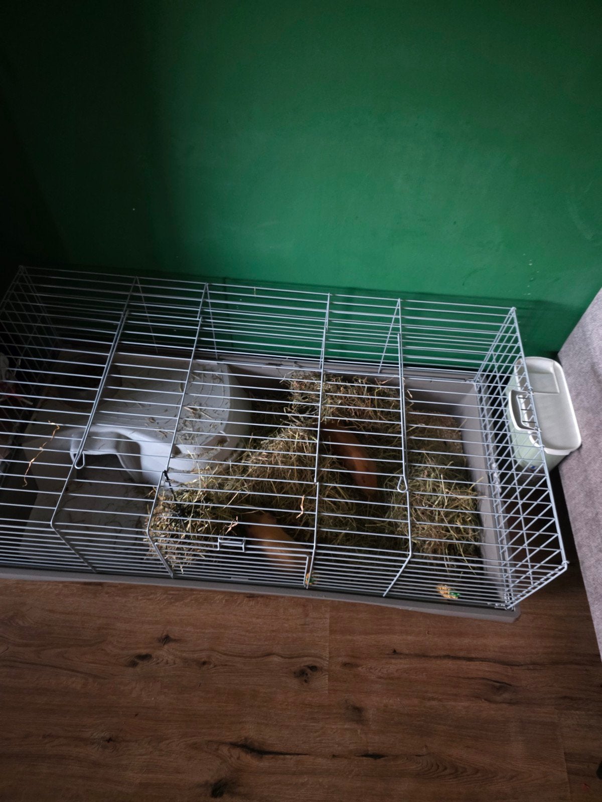 Cavia hok + toebehoren, Dieren en Toebehoren, Ophalen, Hok, Cavia, Minder dan 60 cm