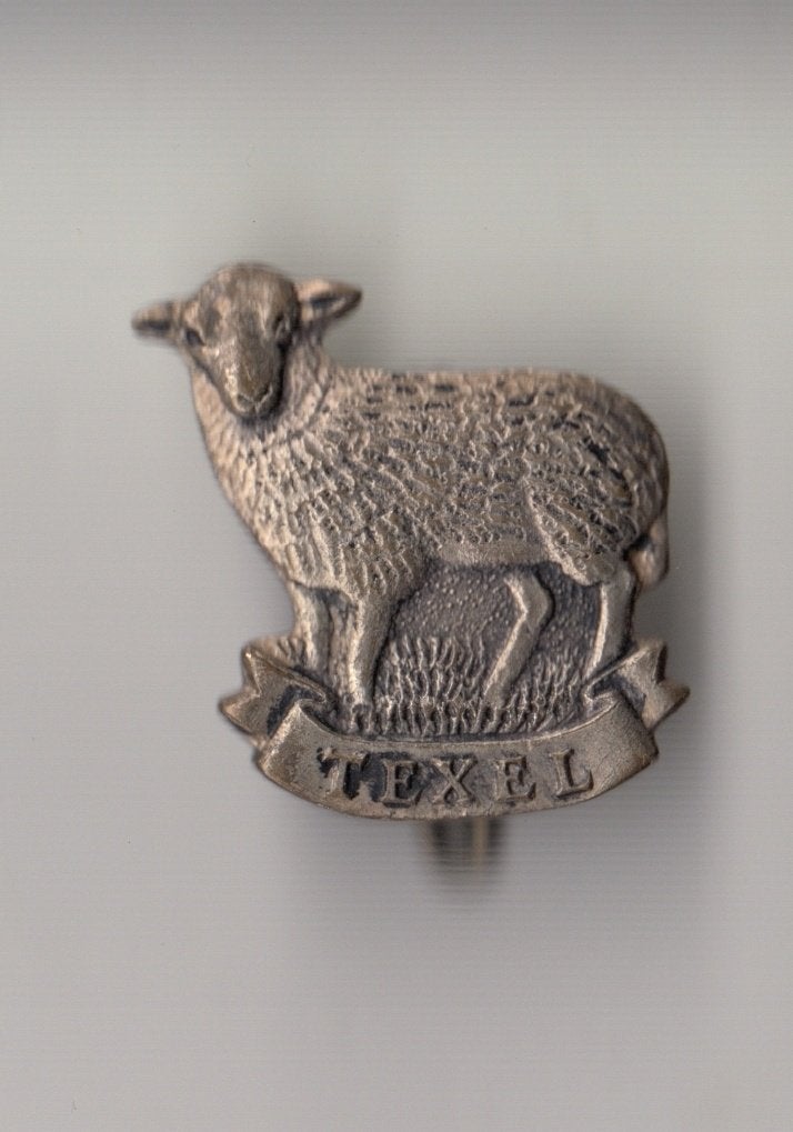 Texel Schaap broche, Gebruikt, Niet vindbaar, Niet vindbaar, Speldje of Pin