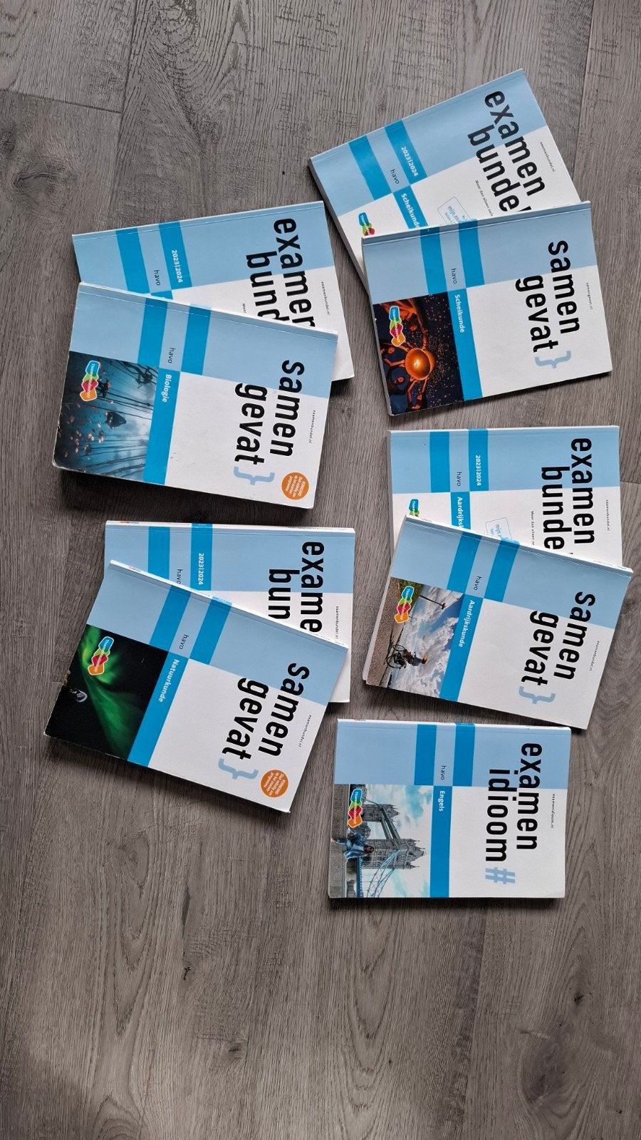 Examenbundels en Samengevat boeken HAVO (diverse vakken), Ophalen of Verzenden, Gelezen, HAVO, Aardrijkskunde
