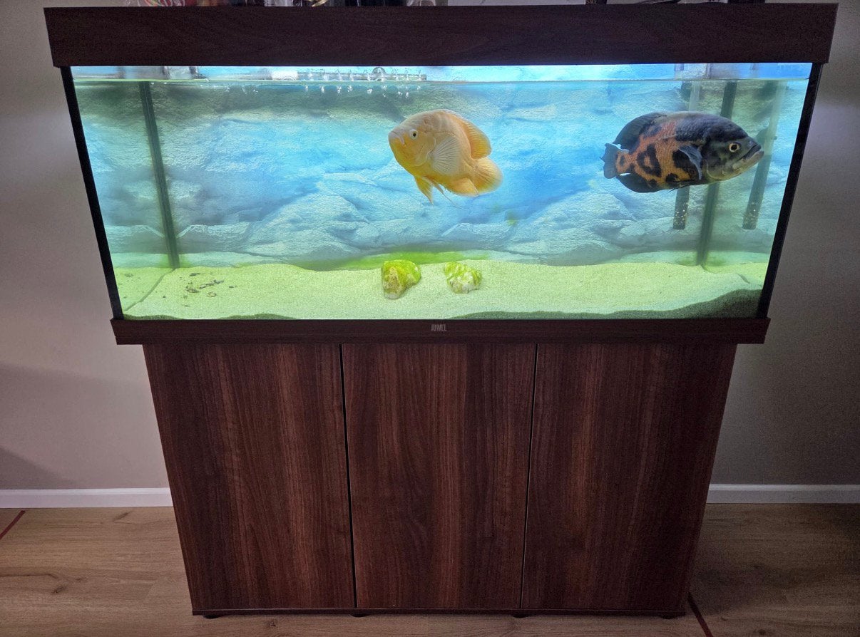 Compleet aquarium 120 cm+onderkast+Oase BioMaster Thermo 350, Ophalen, Inclusief deksel, Nieuw, Leeg aquarium
