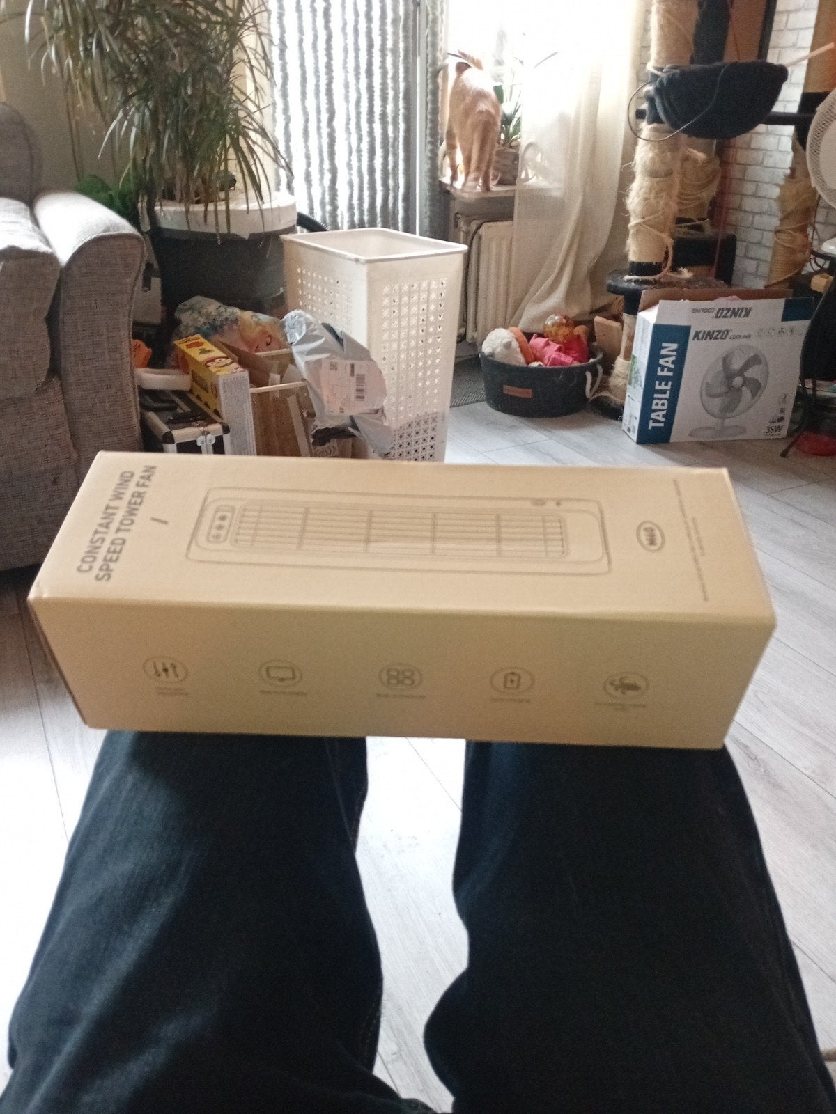 Mini Arco - Nieuw in Doos, Tafel- of Grondventilator, Minder dan 60 m³, Ventileren, Nieuw
