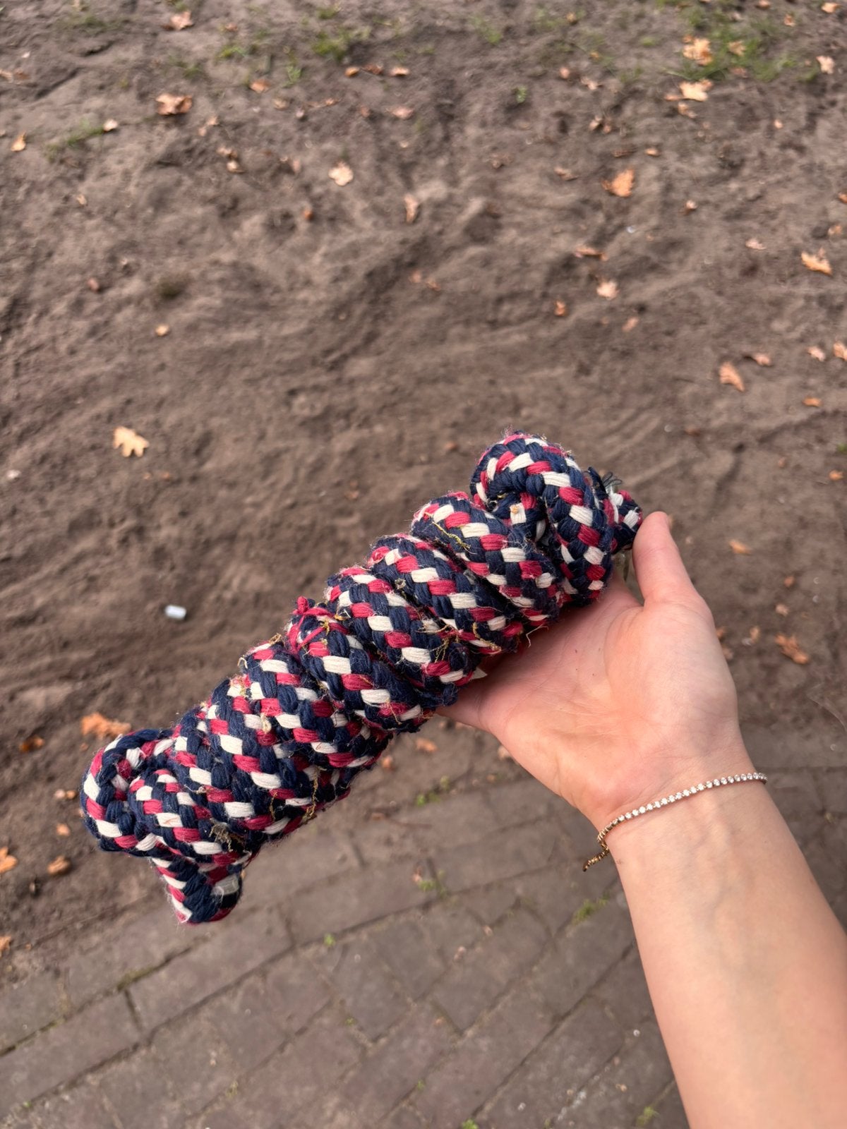 Halstertouw + 2 halsters, Ophalen of Verzenden, Zo goed als nieuw, Blauw