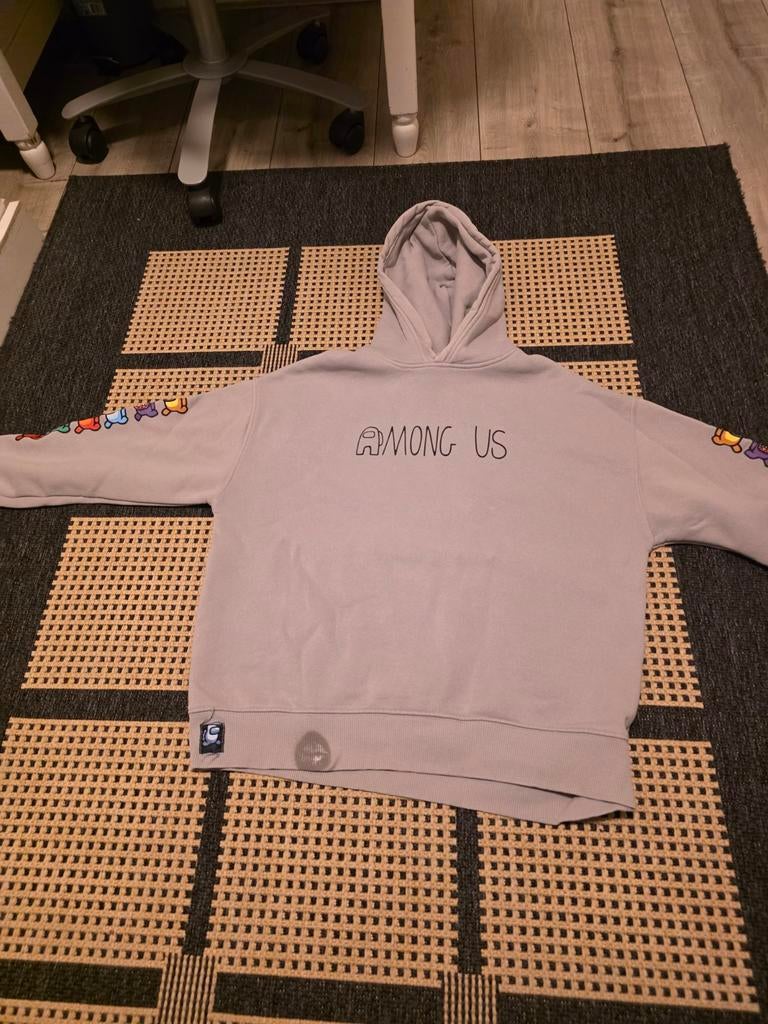 Among Us Hoodie - Grijs met kleurrijke mouwen, Maat 38/40 (M), Ophalen of Verzenden, Grijs, Onbekend