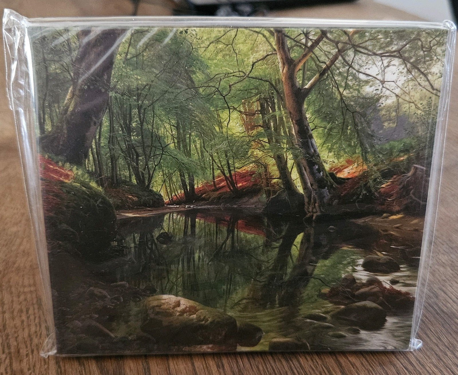 Raat - Celestial Woods CD Nieuw, Ophalen, Nieuw in verpakking