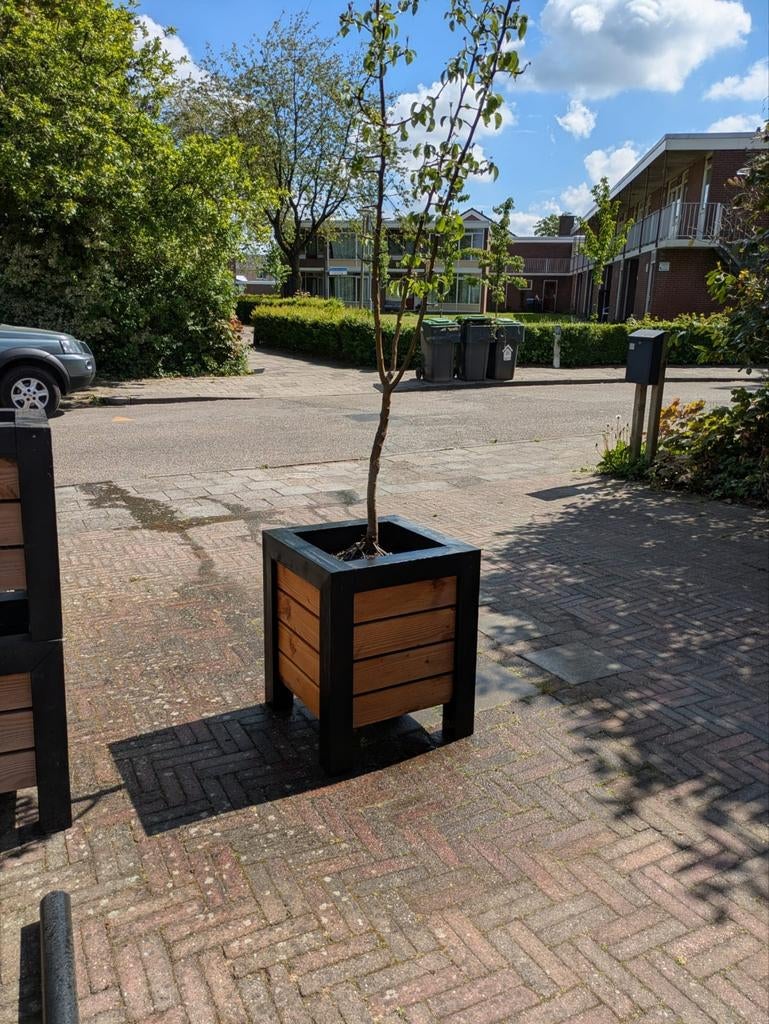 Douglas grote plantenbak met Perenboom, Tuin en Terras, Bloembakken en Plantenbakken, Ophalen, Rond, Kunststof