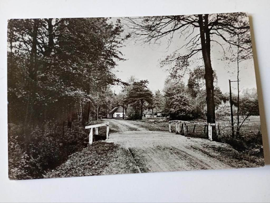 Esbeek bij Hilvarenbeek 1962, Verzamelen, Ansichtkaarten | Nederland, Ophalen of Verzenden, 1960 tot 1980, Gelopen, Noord-Brabant