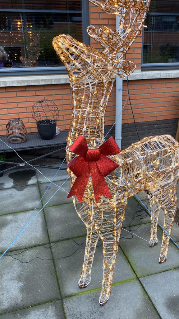 Hele grote hert, Diversen, Kerst, Ophalen of Verzenden, Nieuw