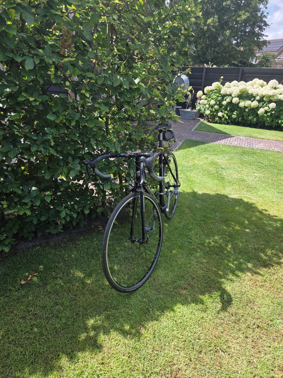Concorde racefiets - Zwart, goed onderhouden, Ophalen, Aluminium, Meer dan 20 versnellingen, Overige merken
