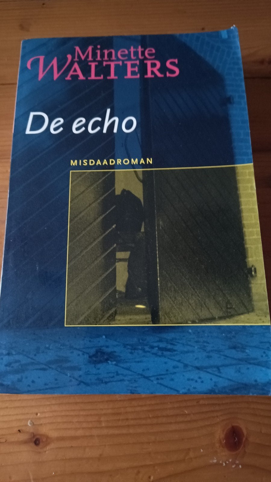 Minette Walters de Echo, Boeken, Ophalen of Verzenden, Zo goed als nieuw
