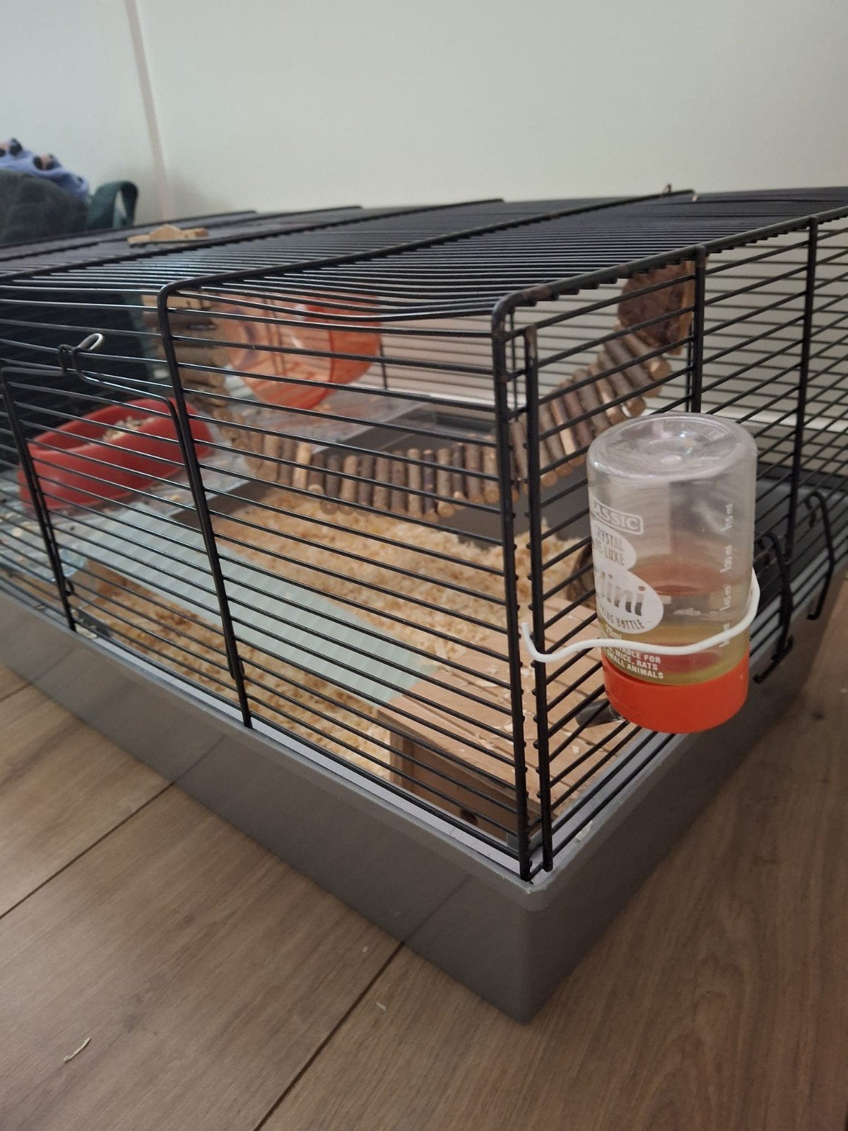 Hamster met kooi en toebehoren, Ophalen, Zo goed als nieuw, Loopwiel of Rad